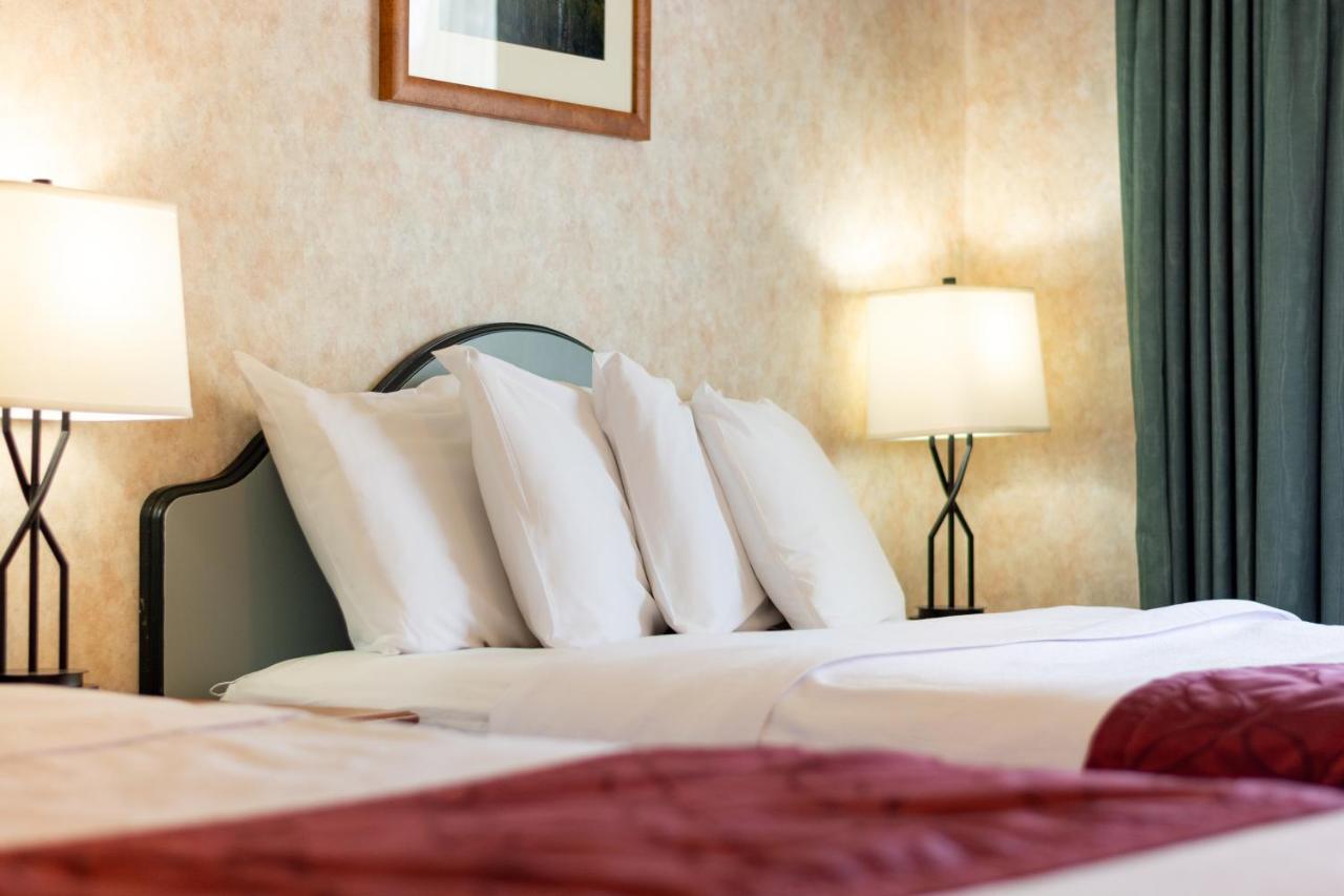 Swiss Alps Inn هيبر سيتي المظهر الخارجي الصورة